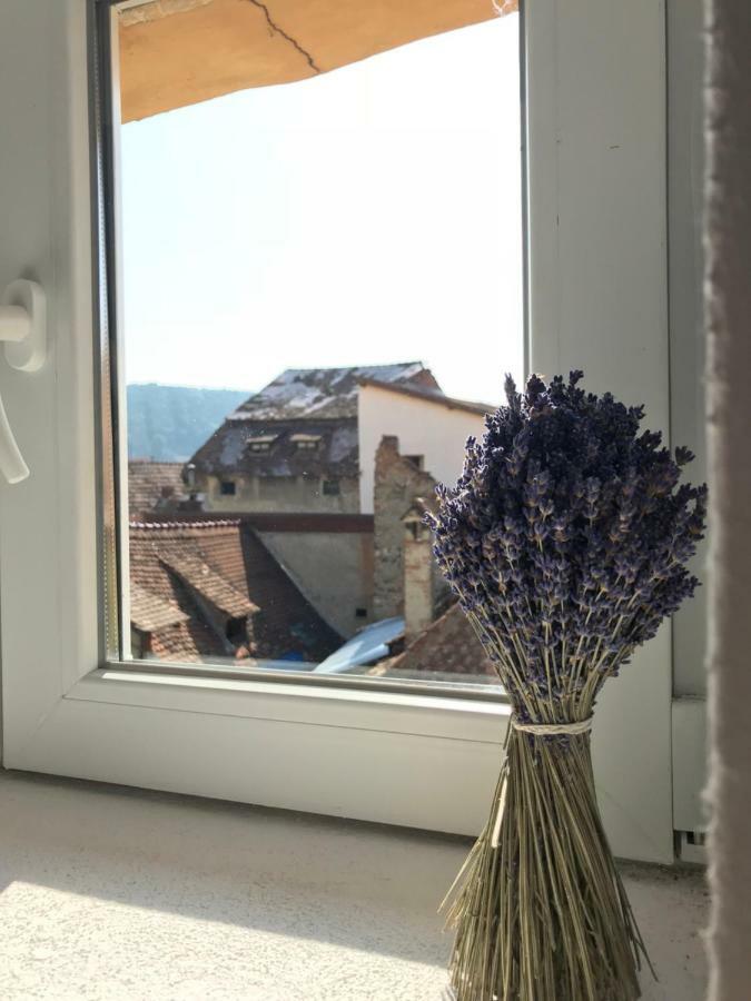 Casa Otto Sighisoara Διαμέρισμα Εξωτερικό φωτογραφία